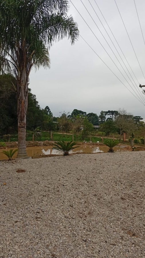 Chácara, 3 quartos, 3630 m² - Foto 3