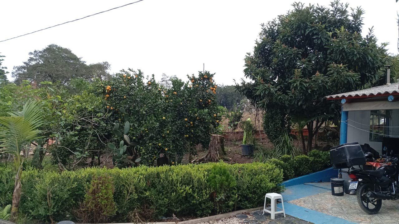 Chácara, 3 quartos, 3630 m² - Foto 9
