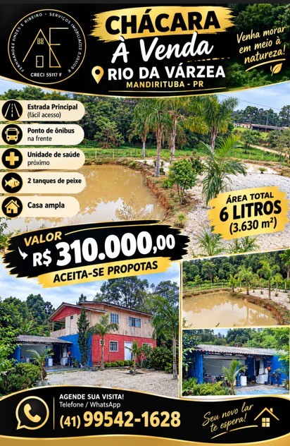 Chácara, 3 quartos, 3630 m² - Foto 12