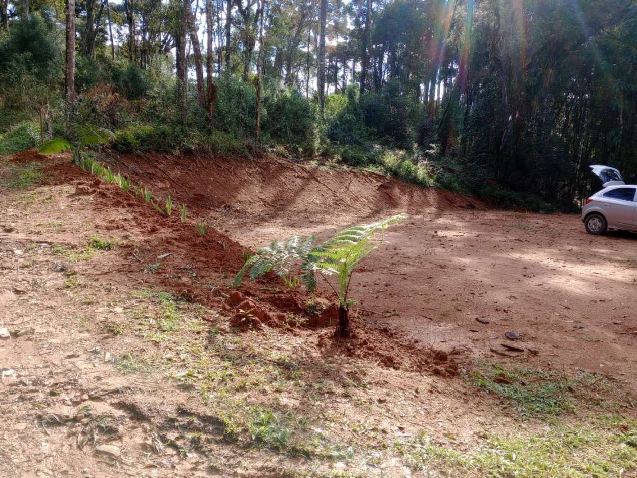 Chácara, 3000 m² - Foto 1