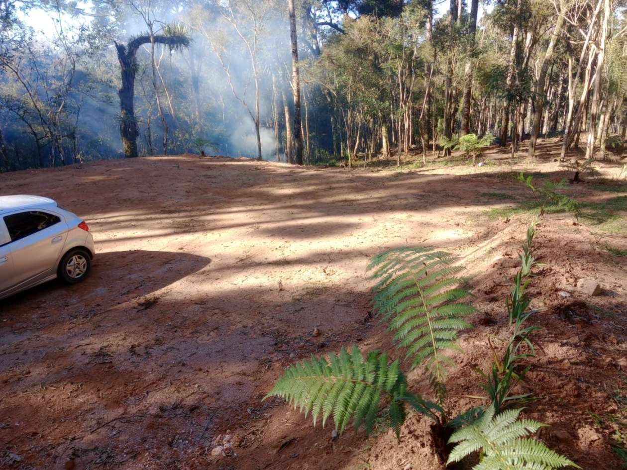 Chácara, 3000 m² - Foto 4