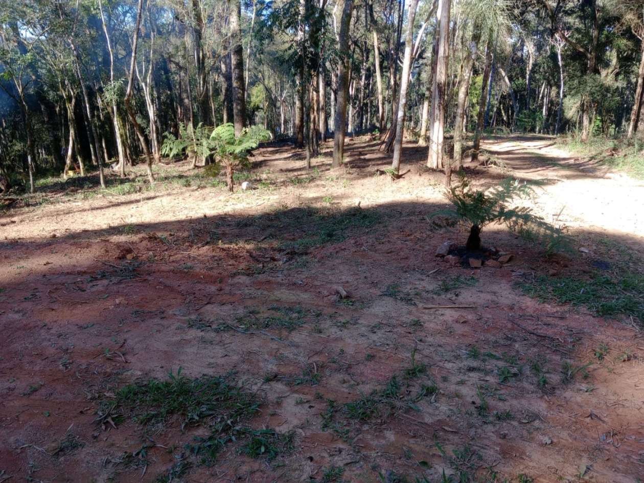 Chácara, 3000 m² - Foto 6