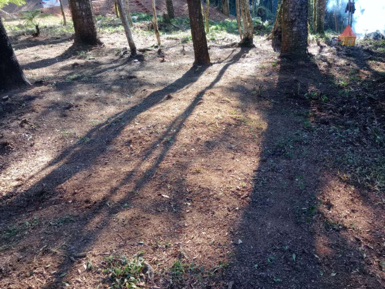 Chácara, 3000 m² - Foto 10