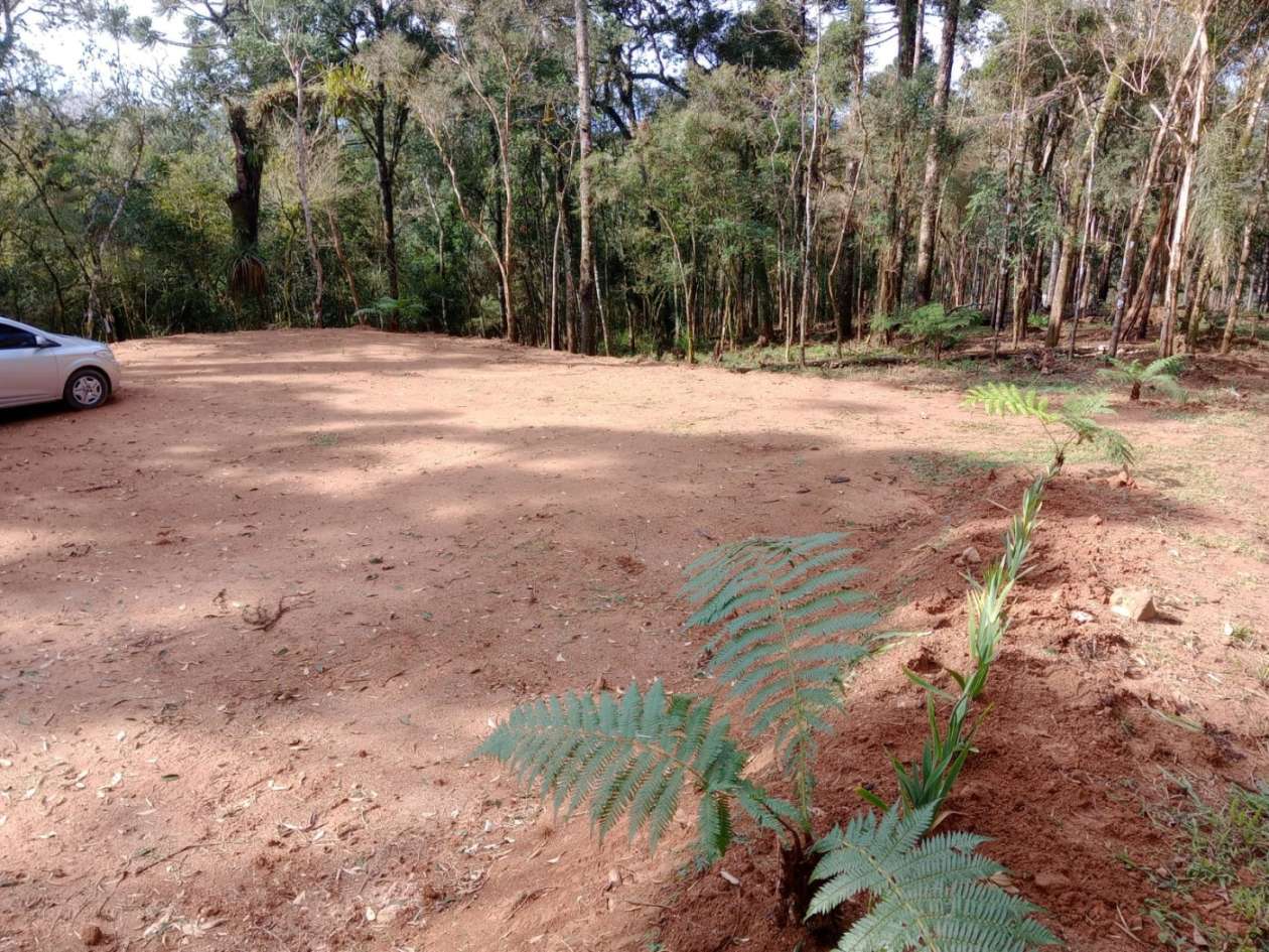 Chácara, 3000 m² - Foto 9