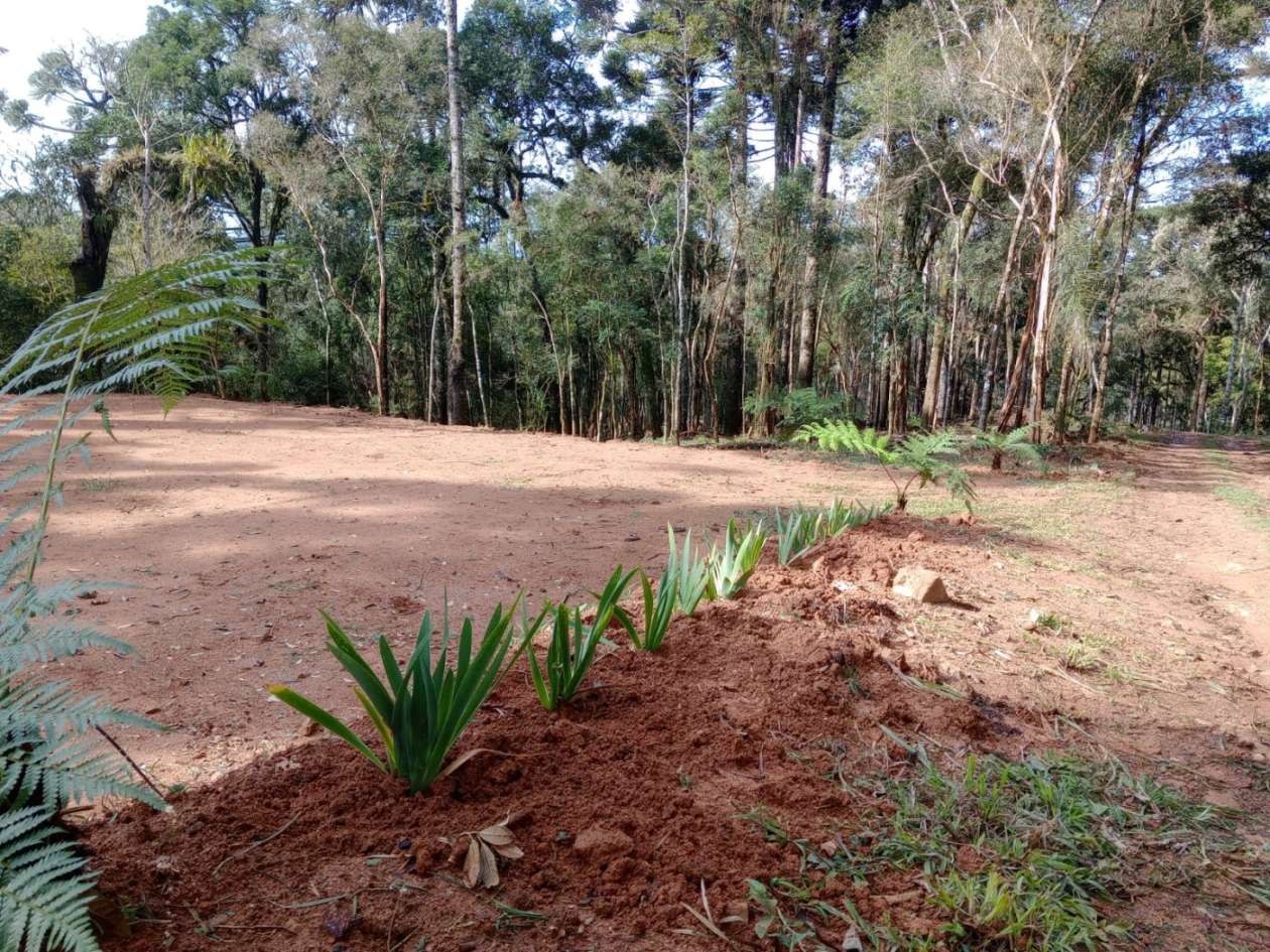 Chácara, 3000 m² - Foto 11