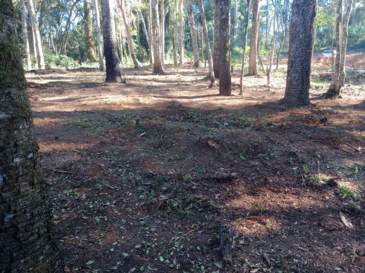 Chácara, 3000 m² - Foto 12
