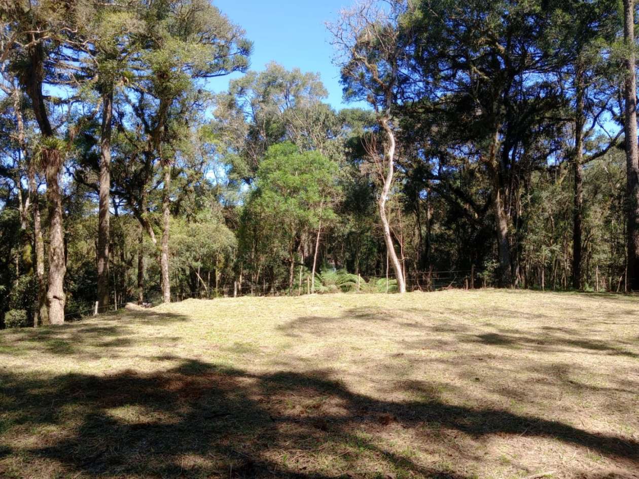 Chácara, 3000 m² - Foto 3