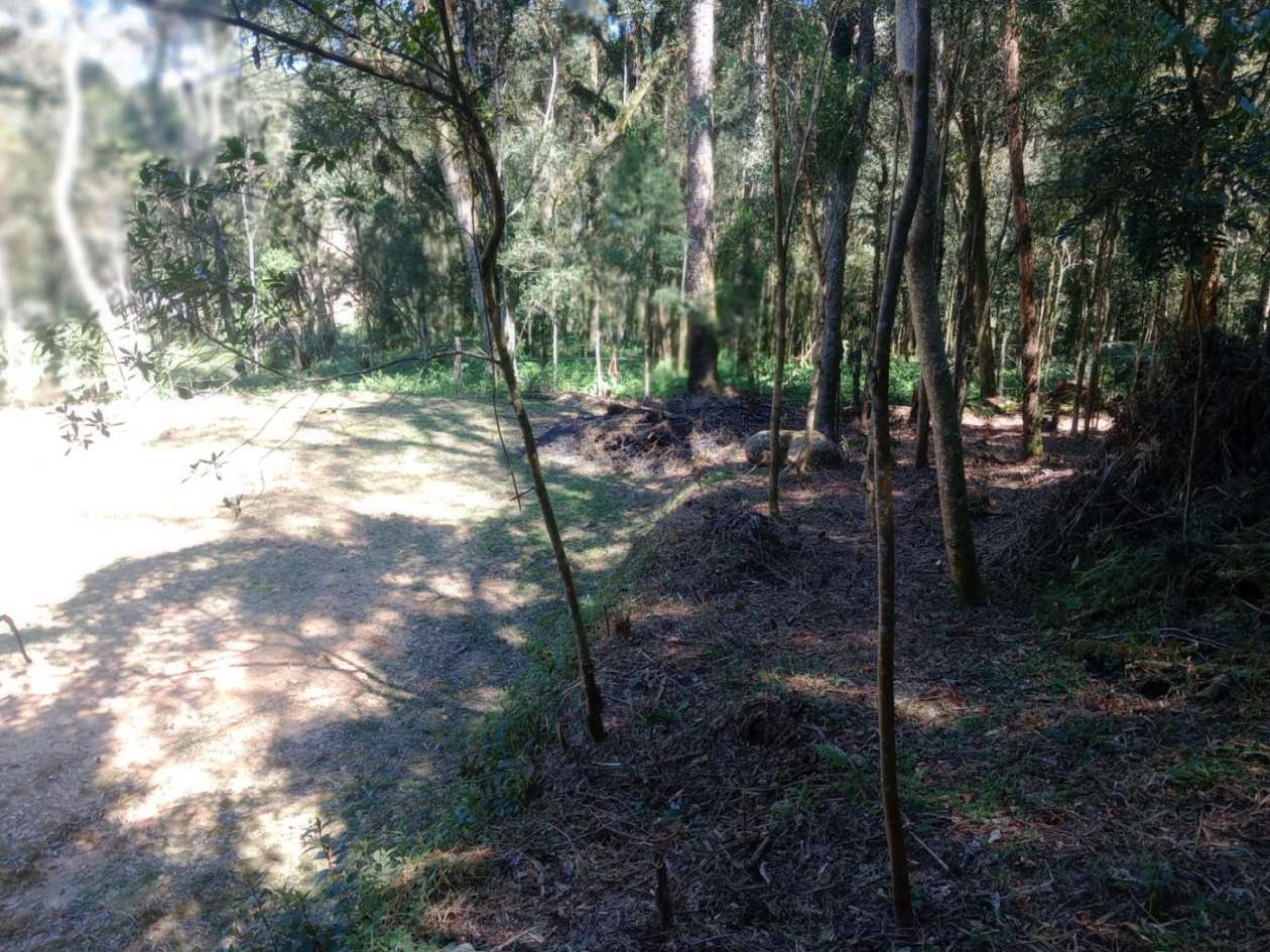 Chácara, 3000 m² - Foto 4