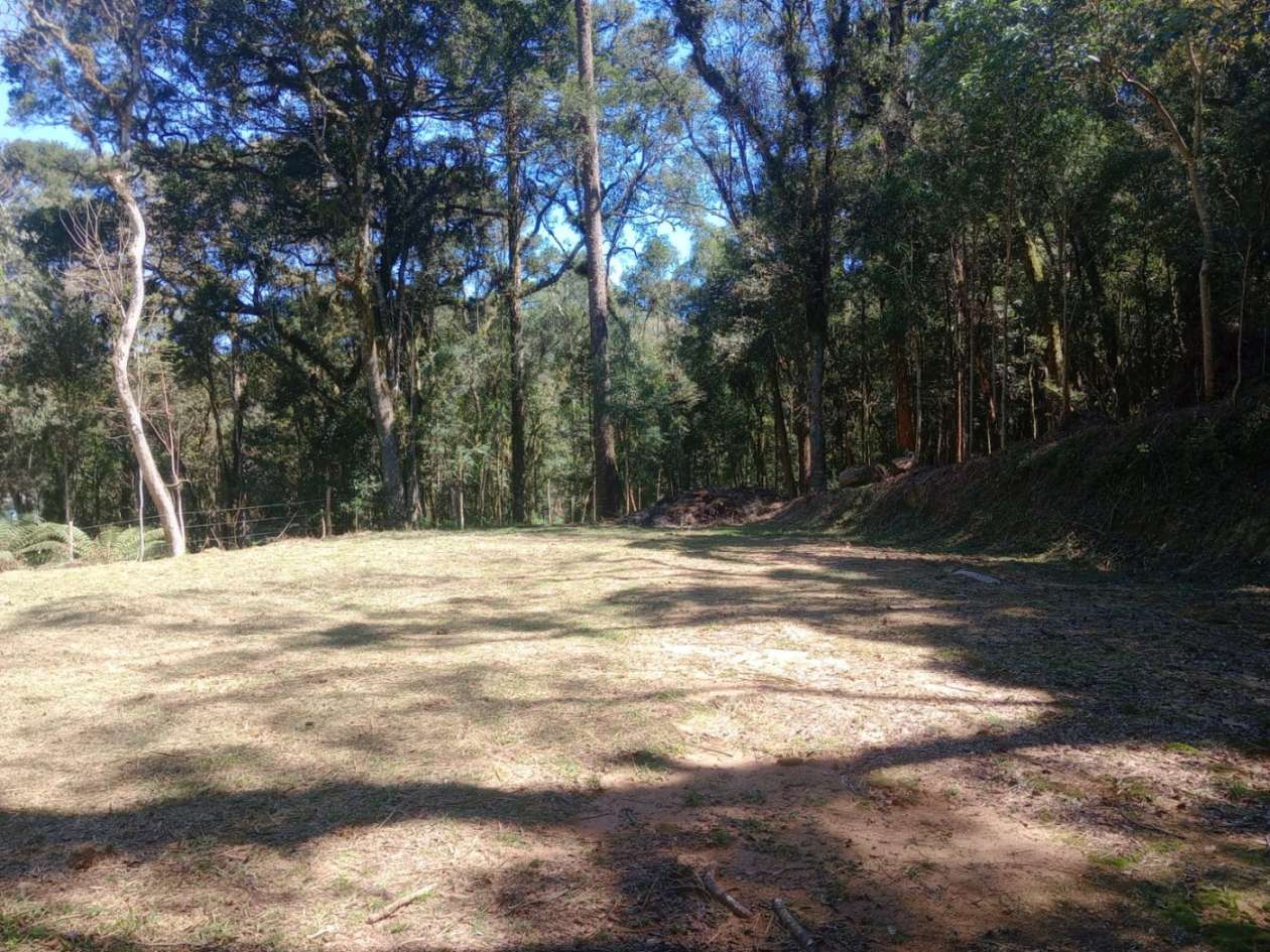 Chácara, 3000 m² - Foto 6